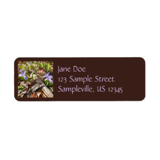Wild Miniature Irises Label