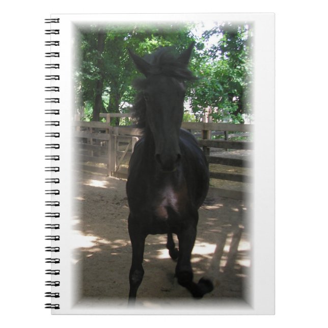 "Wild Mintaka!" Notebook (Front)