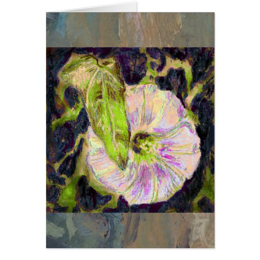 Wild Morning Glory by Alexandra Cook Cards (Front)