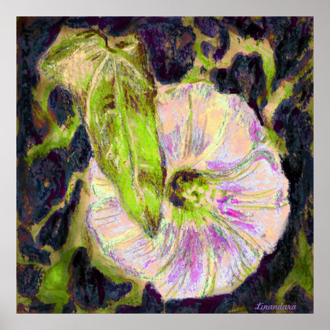 Wild Morning Glory by Alexandra Cook Poster (Front)