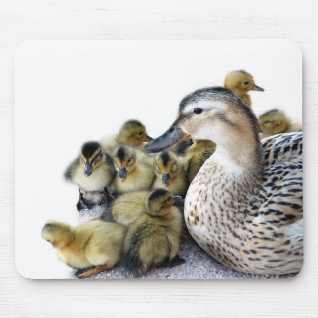 Wild Mother Duck and Ducklings Mouse Pad (Front)