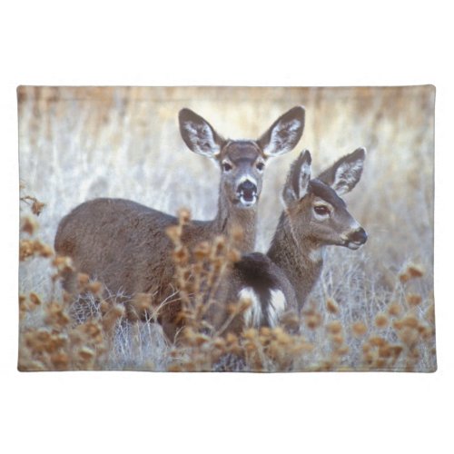 Wild Mule Deer Pair  California Cloth Placemat