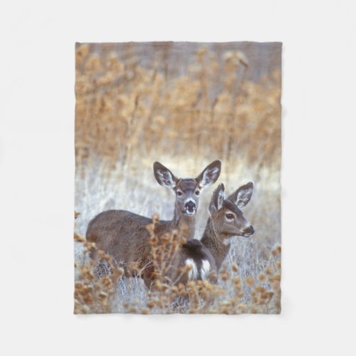 Wild Mule Deer Pair  California Fleece Blanket