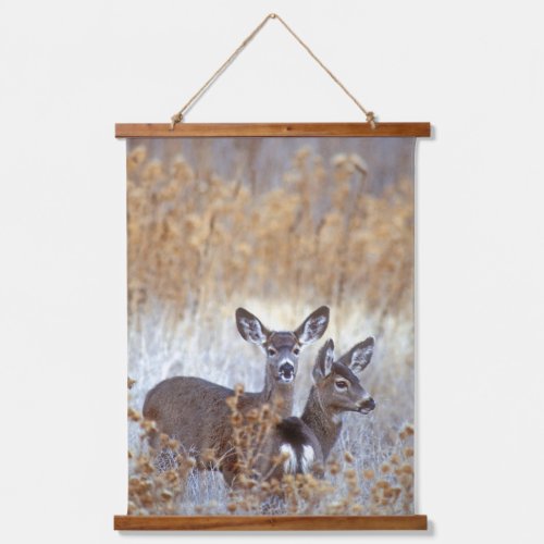 Wild Mule Deer Pair  California Hanging Tapestry