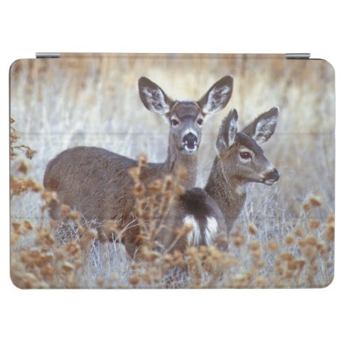Wild Mule Deer Pair  California iPad Air Cover