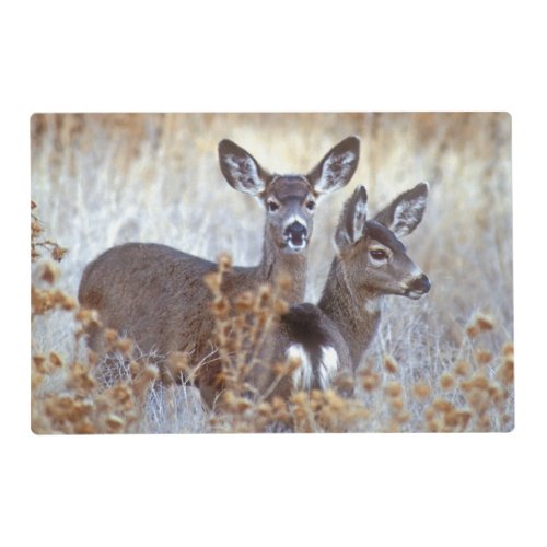 Wild Mule Deer Pair  California Placemat