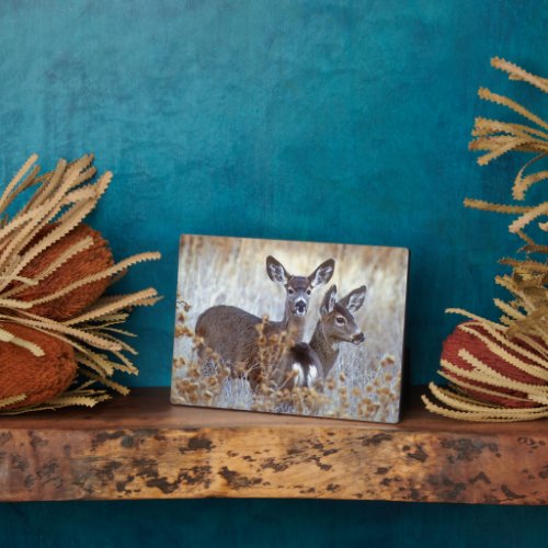 Wild Mule Deer Pair  California Plaque