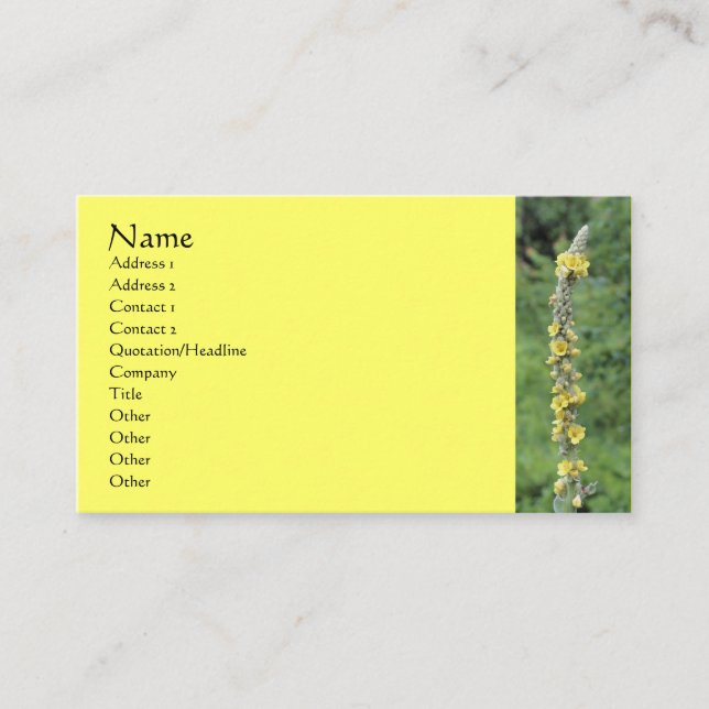 Wild Mullein Flower Photography Business Card (Front)