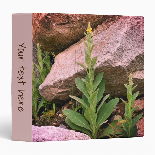 Wild Mullein Flowers Among Rocks Personalized 3 Ring Binder (Front/Spine)