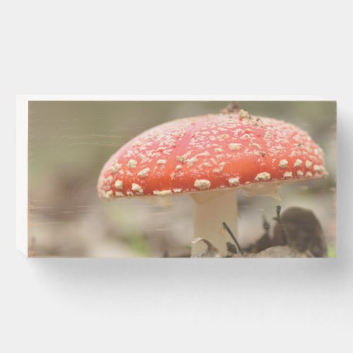 Wild mushroom Amanita Muscaria the red fungi    Wooden Box Sign