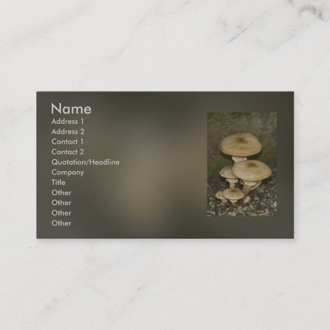 wild mushroom business card (Front)