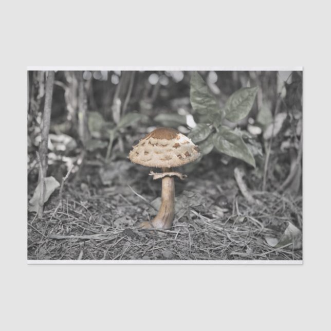 Wild Mushroom (Toadstool) Tissue Paper (Front)