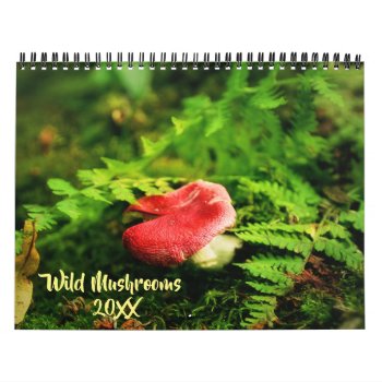 Wild Mushrooms And Nature Photography Calendar by Vanillaextinctions at Zazzle