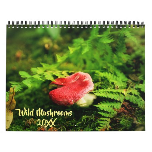 Wild Mushrooms and Nature Photography Calendar