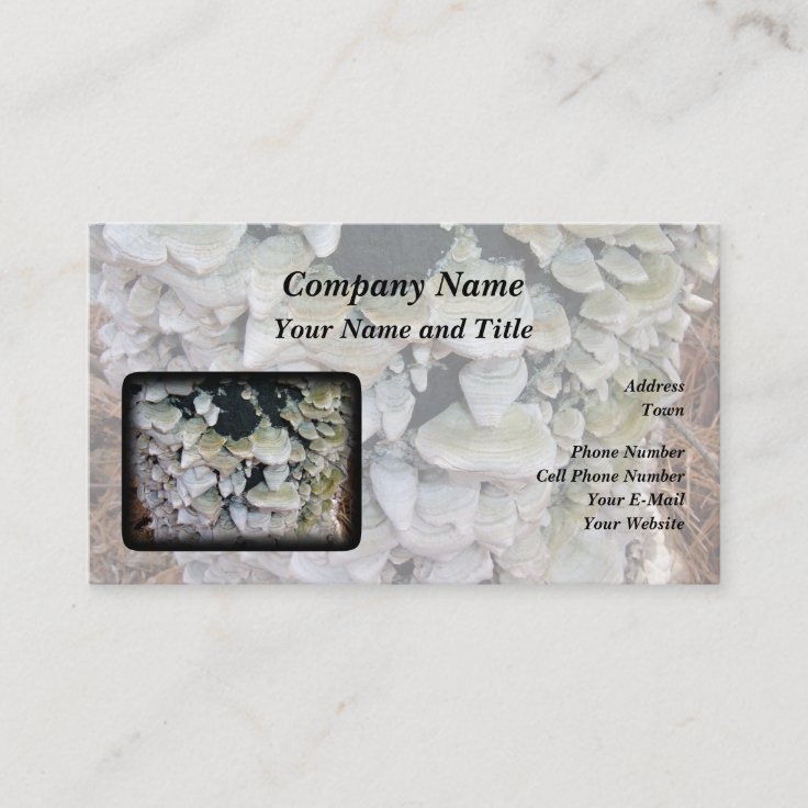 Wild Mushrooms Business Card Zazzle