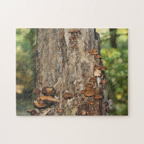 Wild Mushrooms Growing On Tree Nature Jigsaw Puzzle