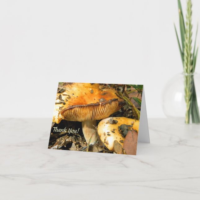 Wild Mushrooms Note Card (Front)