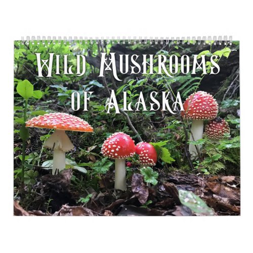 Wild Mushrooms of Alaska _ Large Calendar