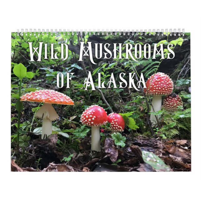 Wild Mushrooms of Alaska - Large Calendar (Cover)