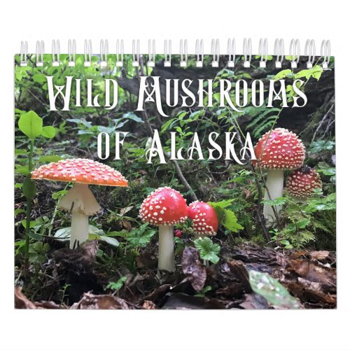 Wild Mushrooms of Alaska _ Small Calendar