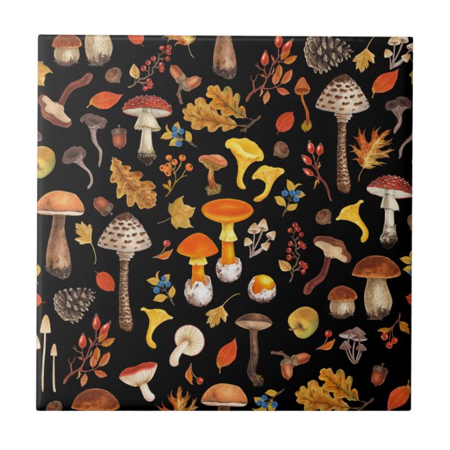 Wild mushrooms on black ceramic tile (Front)