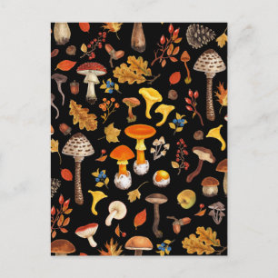 Wild mushrooms on black postcard