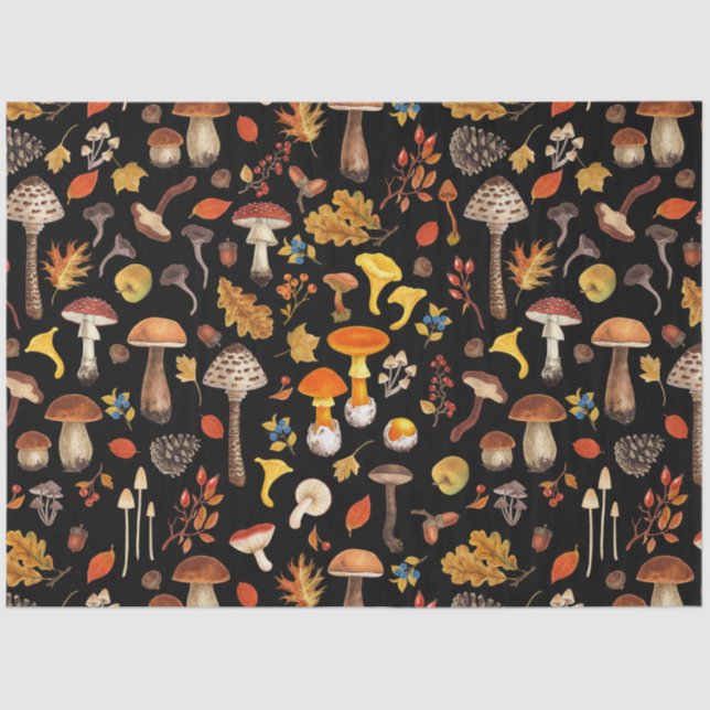 Wild mushrooms on black tissue paper (Front)