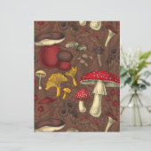 Wild mushrooms on brown (Standing Front)