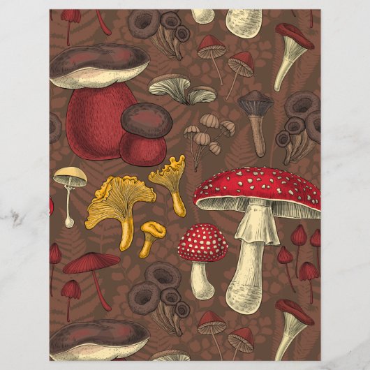 Wild mushrooms on brown (Front)