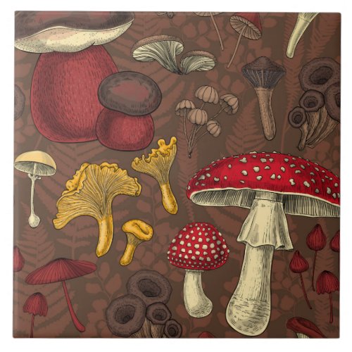 Wild mushrooms on brown ceramic tile