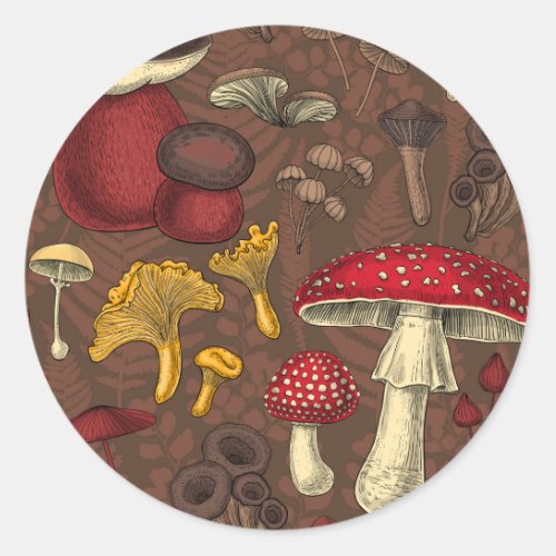 Wild mushrooms on brown classic round sticker