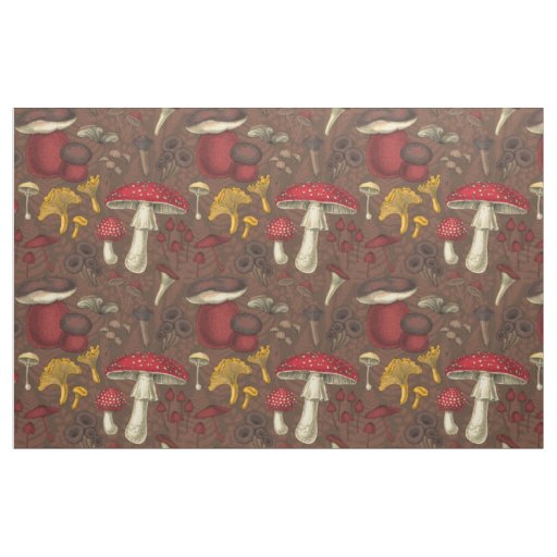 Wild mushrooms on brown fabric