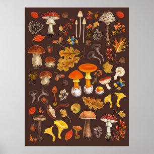 Wild mushrooms on brown poster