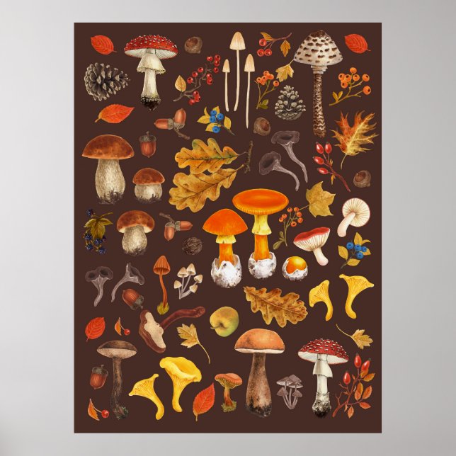 Wild mushrooms on brown poster (Front)
