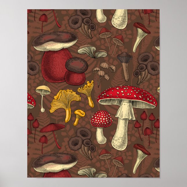 Wild mushrooms on brown poster (Front)