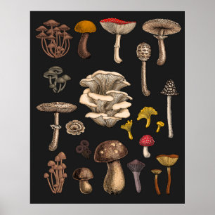 Wild Mushrooms  on graphite black Poster