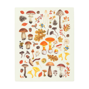 Wild mushrooms on off white metal print