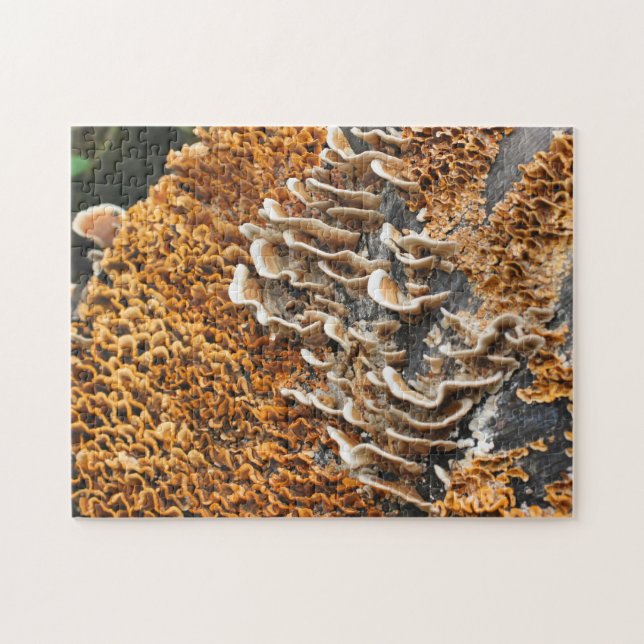 Wild Mushrooms On Wood Nature  Jigsaw Puzzle (Horizontal)