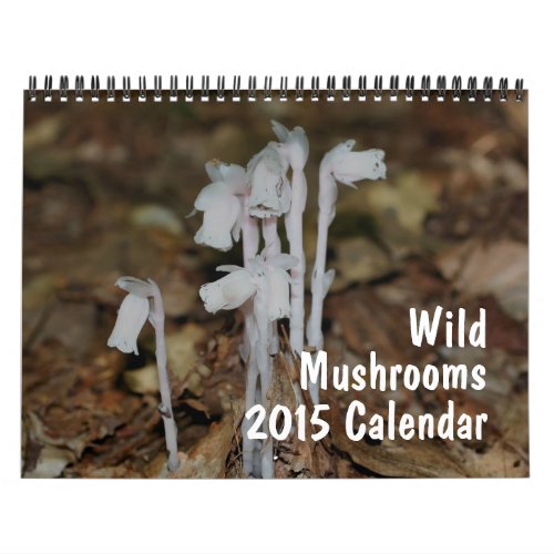 Wild Mushrooms Photography  Calendar