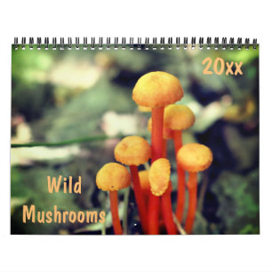 Wild Mushrooms Photography Calendar