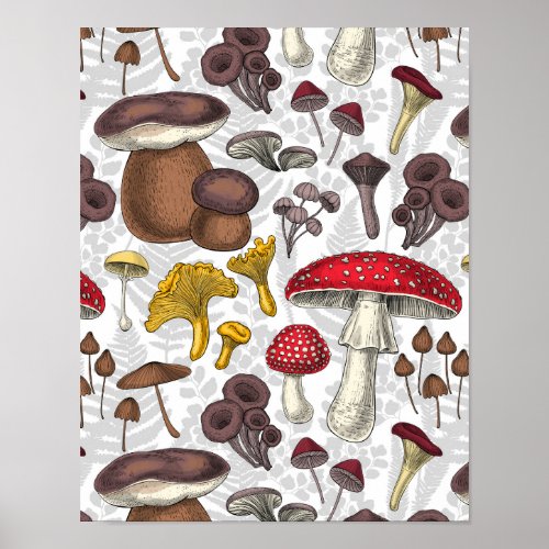 Wild mushrooms poster