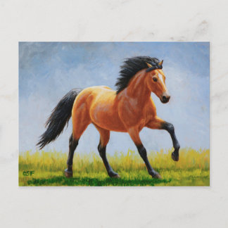 Wild Mustang Buckskin Horse Running Postcard
