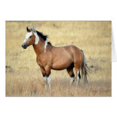 Wild Mustang Card (Front Horizontal)