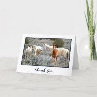 Wild Mustang Herd Photo Thank You Card