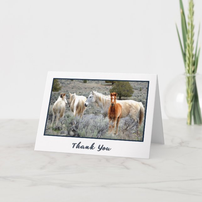 Wild Mustang Herd Photo Thank You Card (Front)