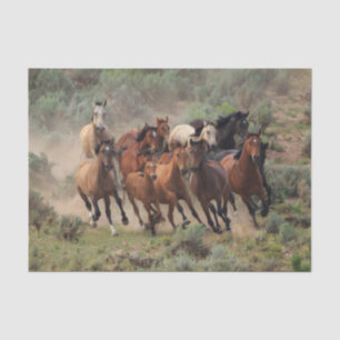 Wild Mustang Herd Tissue Paper
