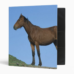 Wild Mustang Horse Binder