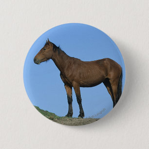 Wild Mustang Horse Button