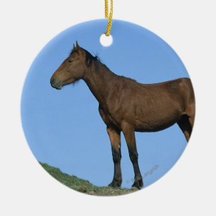 Wild Mustang Horse Ceramic Ornament