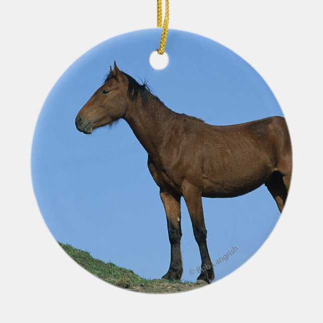 Wild Mustang Horse Ceramic Ornament (Front)